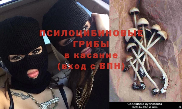 дурь Алексеевка