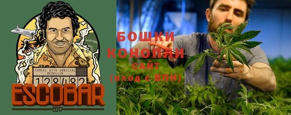 дурь Алексеевка