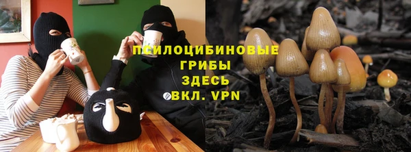 дурь Алексеевка