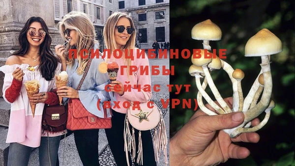 дурь Алексеевка